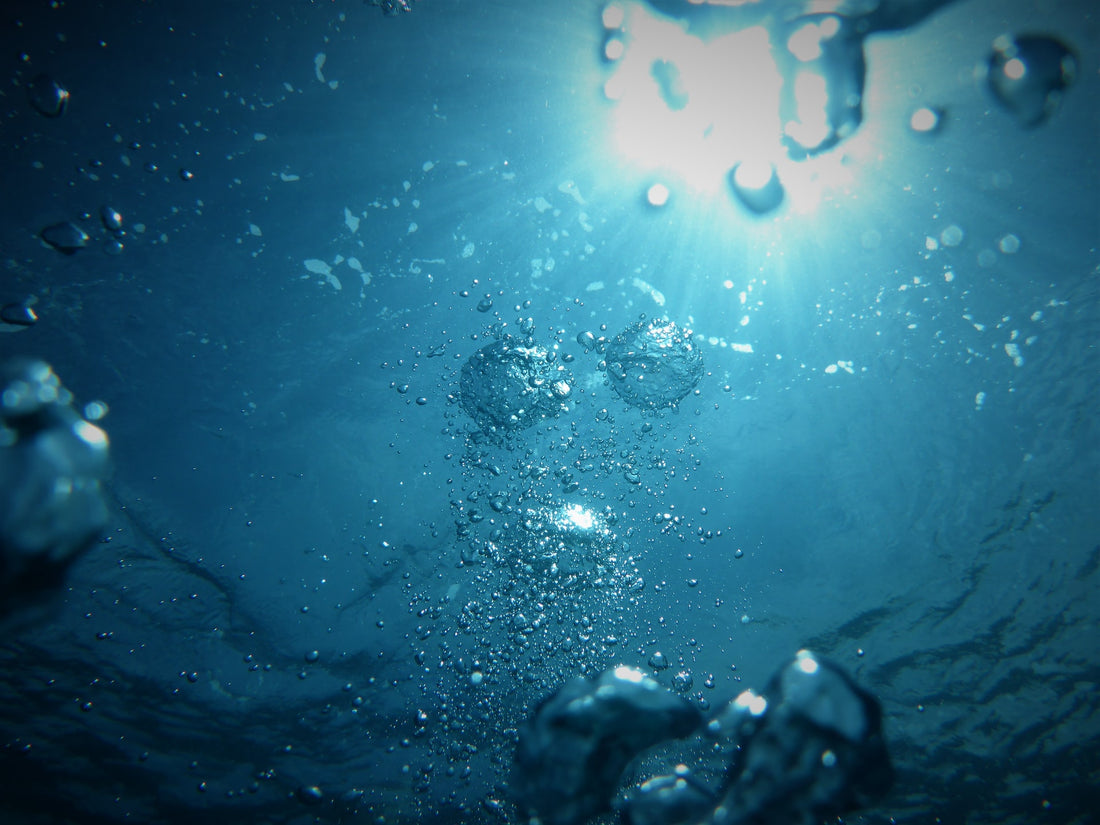 DIA MUNDIAL DEL AGUA