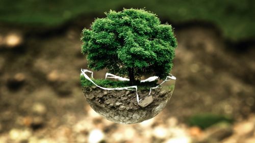 Día Mundial del Medio Ambiente