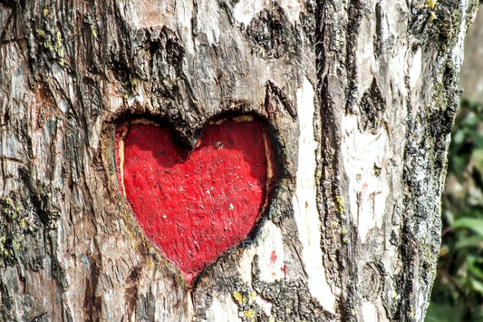 Rojo, el color del amor