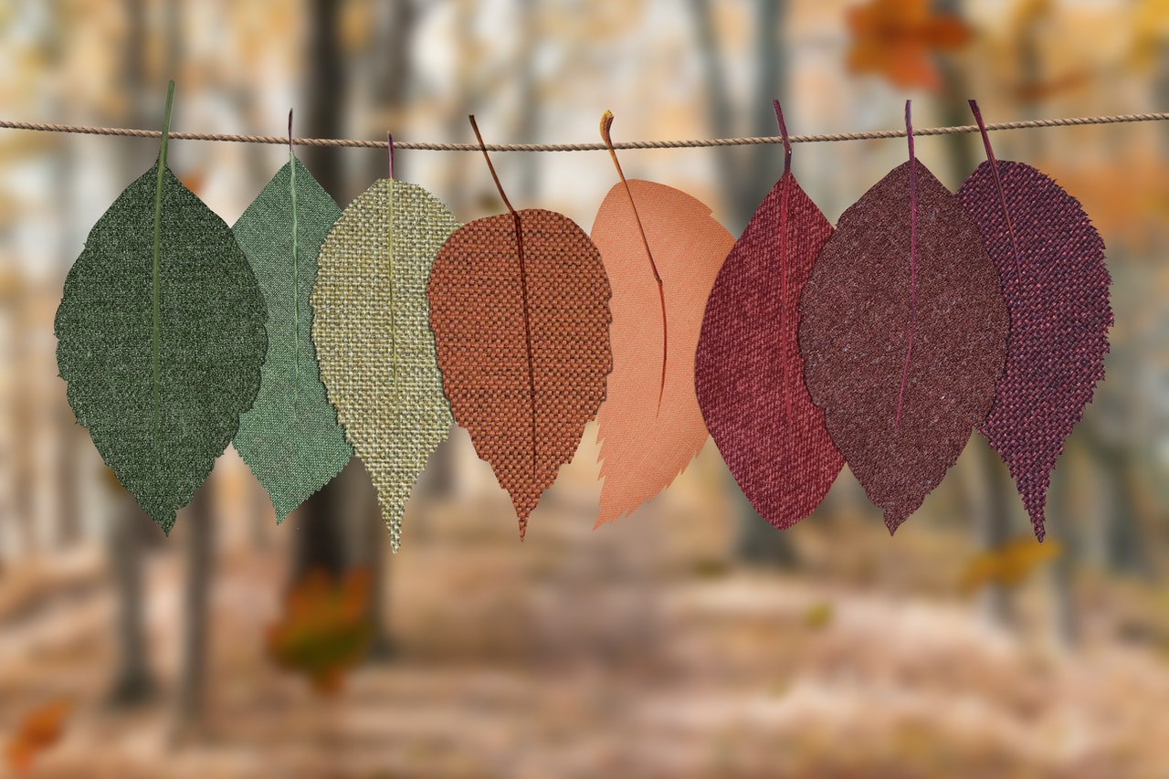 Tintes naturales: hacia la sostenibilidad textil