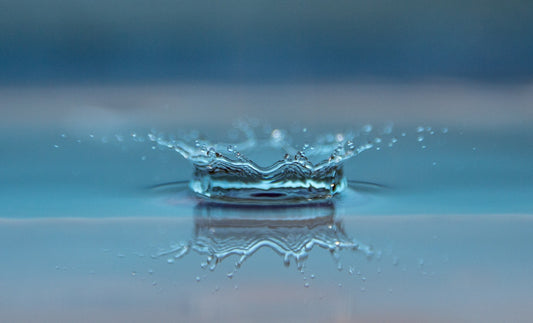 DIA MUNDIAL DEL AGUA